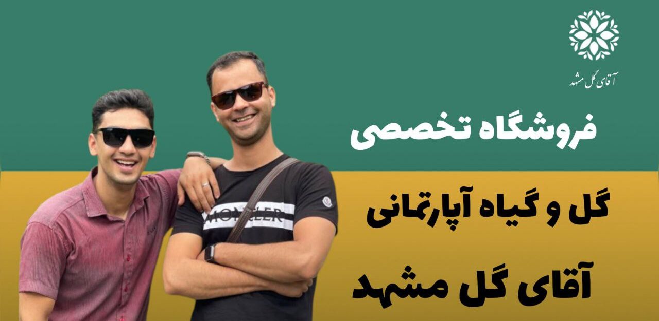 IMG 20230829 230522 002 e1693338122473