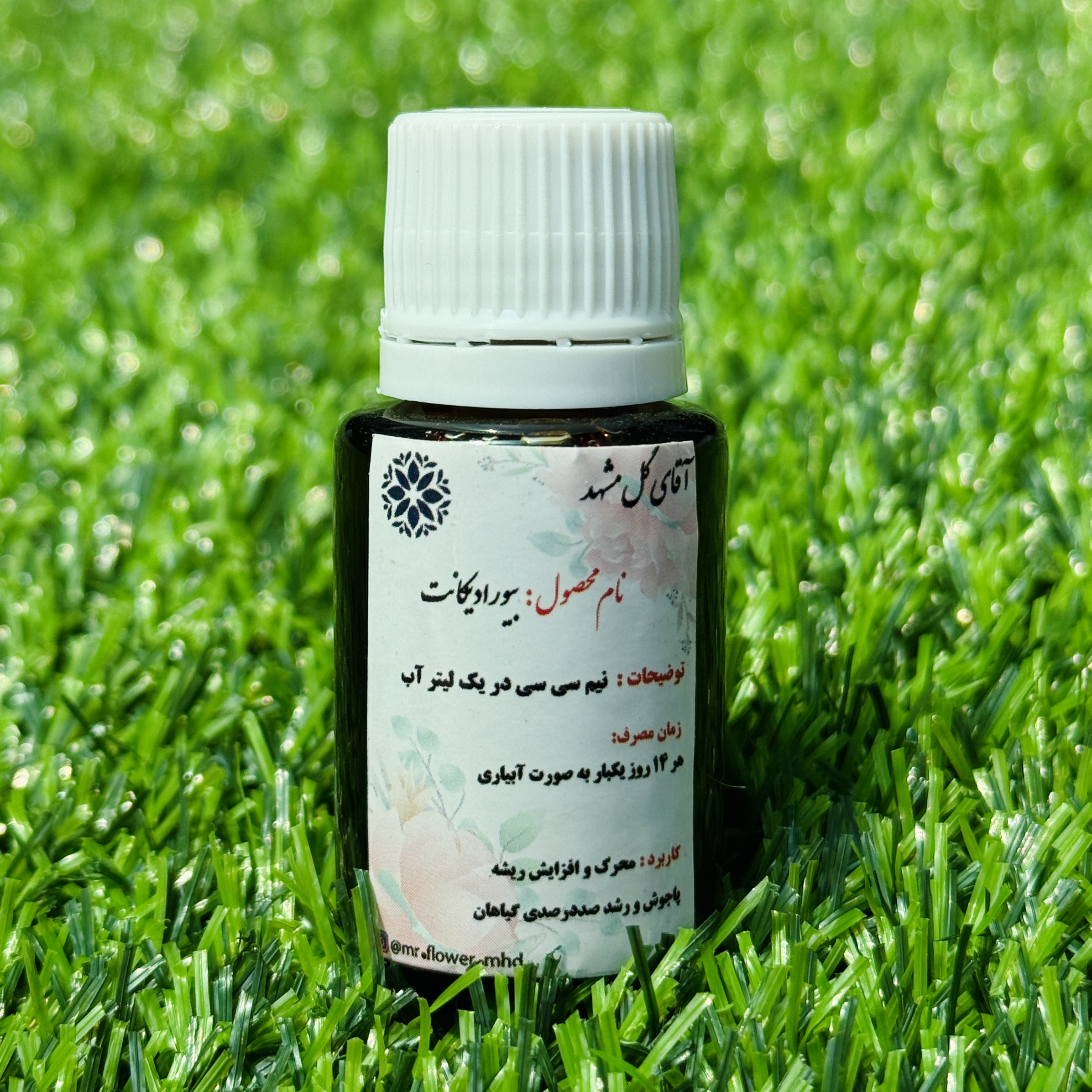 IMG_20251111_172712_640 IMG 20251111 172712 640