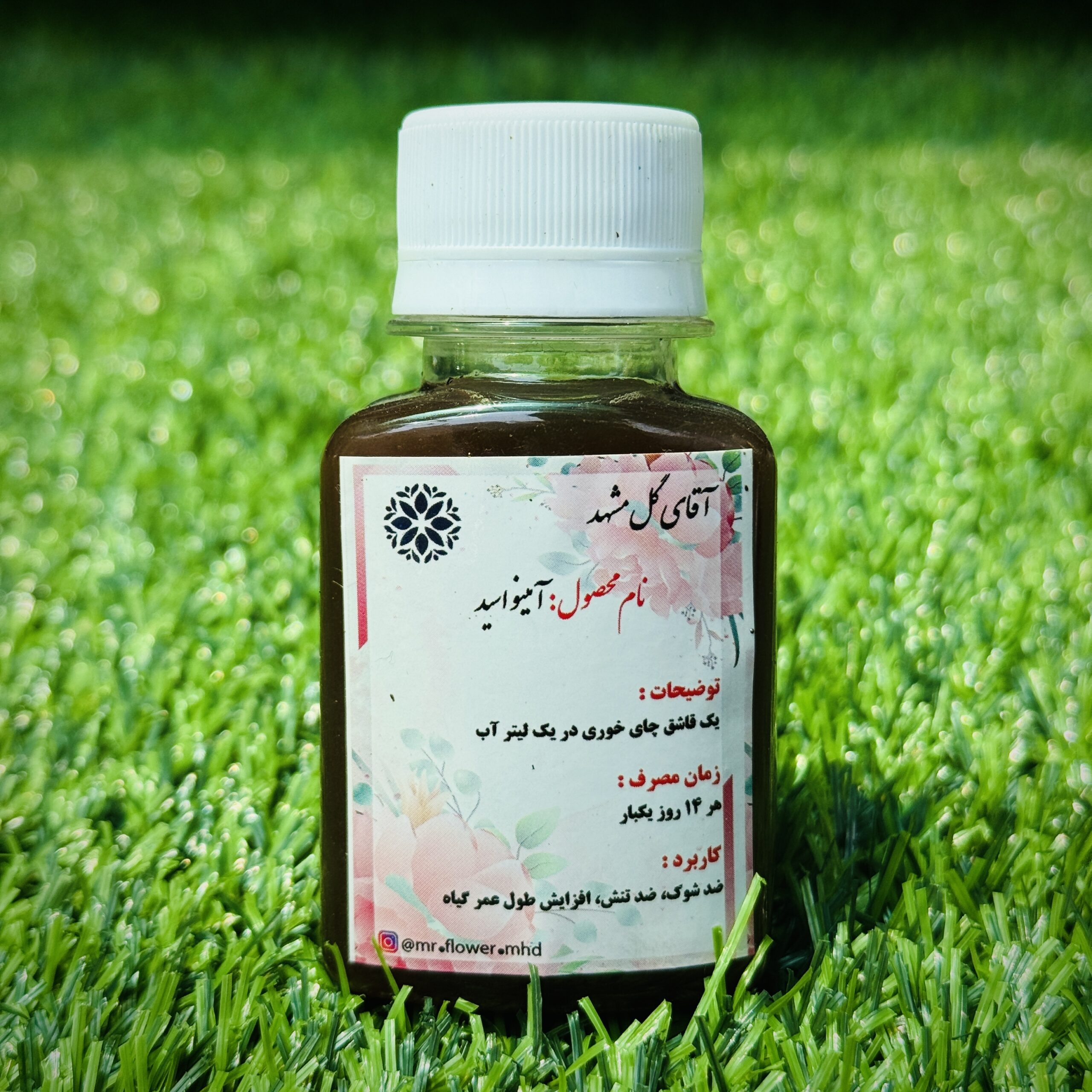 IMG_1262 IMG 1262 scaled