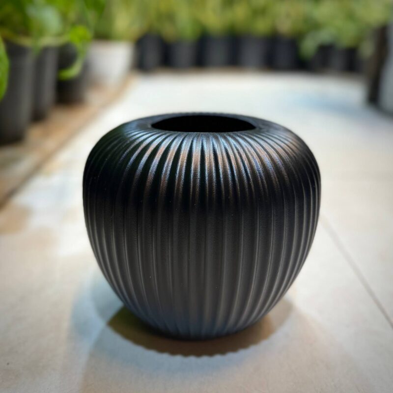 IMG 20250207 050847 083