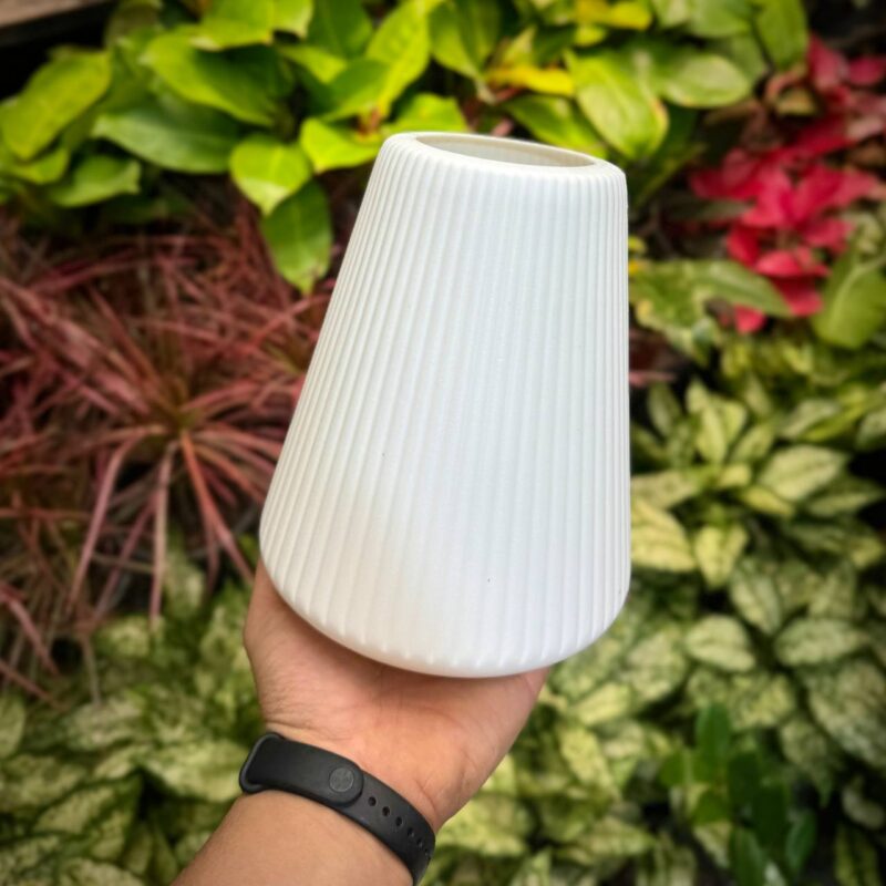 IMG 20250207 050847 387