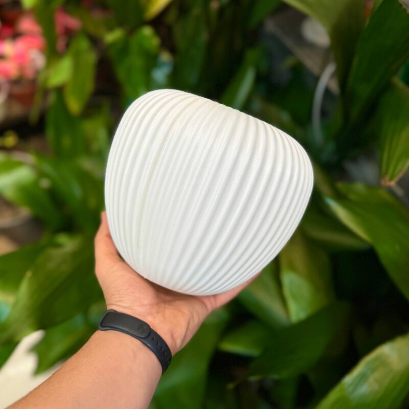 IMG 20250207 050847 716