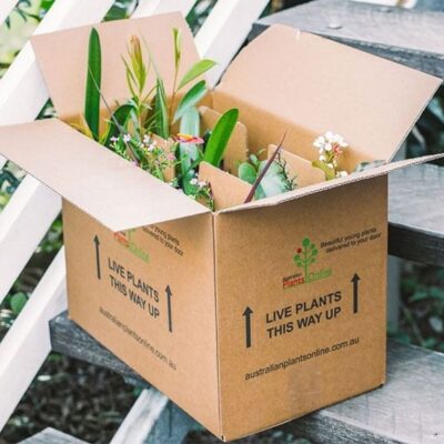 How to Ship Flowers and Plants
