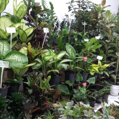 PUZHNA1xxb7wqe d09b643424d949cfa0d84c231ff19080 scaled 1